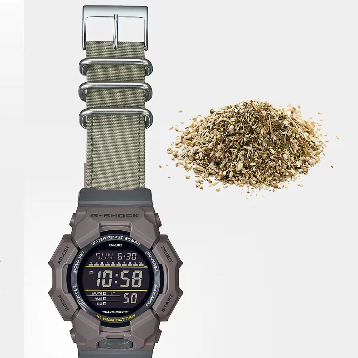 CASIO GD-010CE-5DR
