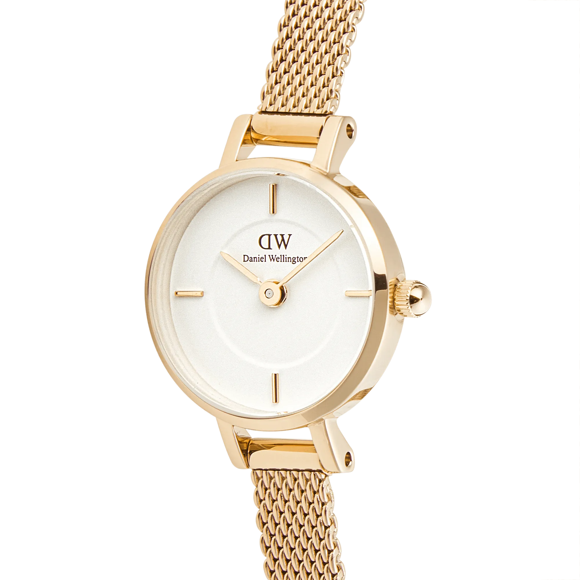 Daniel Wellington Petite Mini Evergold Watch