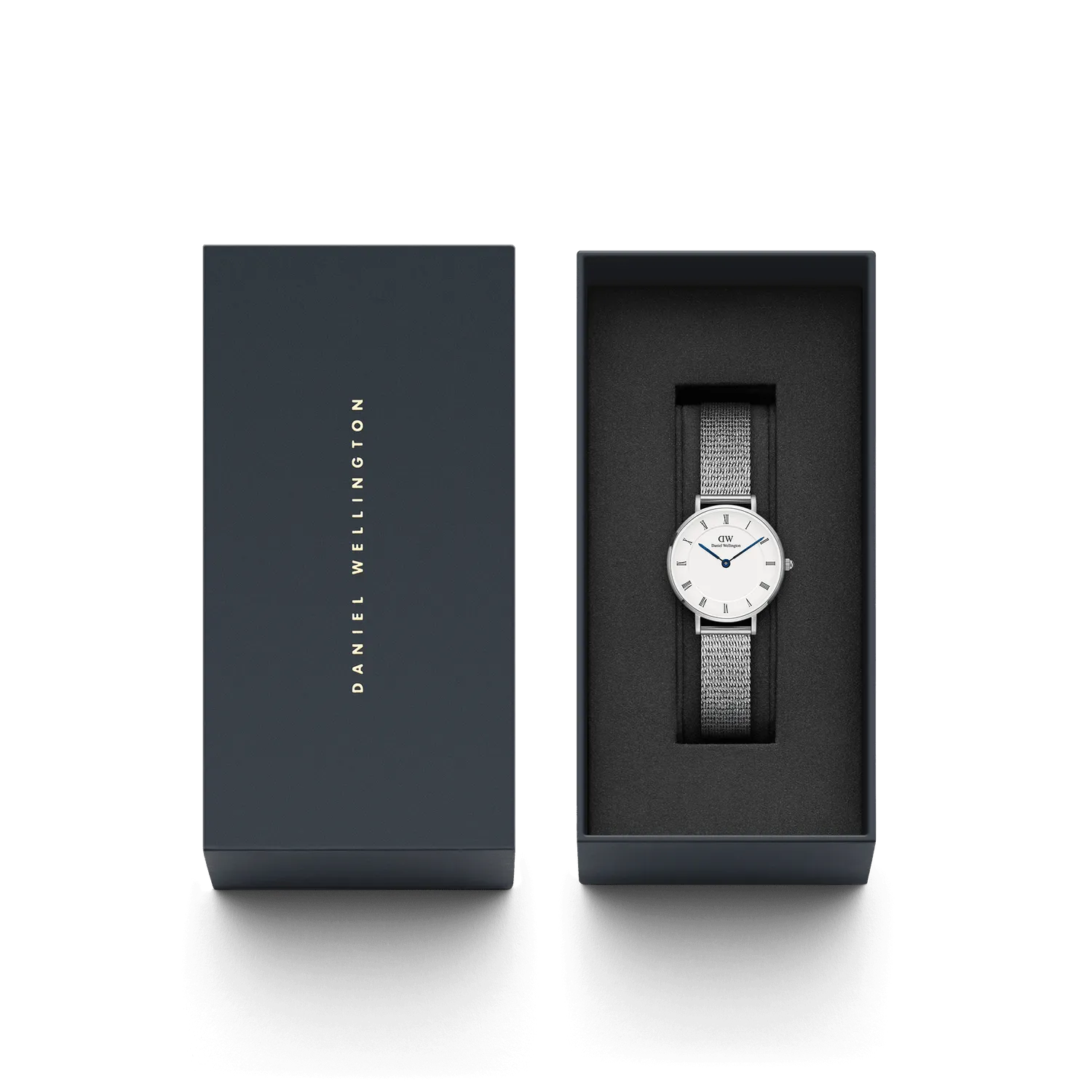 Daniel Wellington Petite Roman Numerals Sterling Watch DW00100684