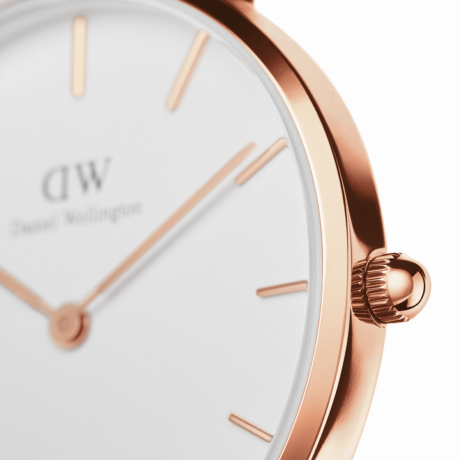 Daniel Wellington Petite Bondi 28mm Watch DW00100249