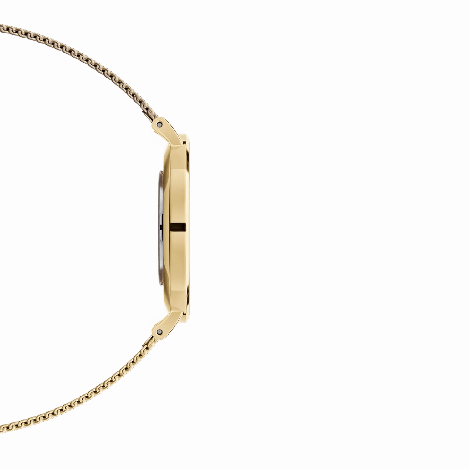 Daniel Wellington Petite Evergold 36mm Watch DW00100345