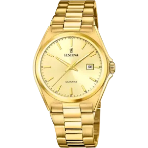 Festina Men's Sophisticated Elegance Stainless Steel Timepiece F20555/3