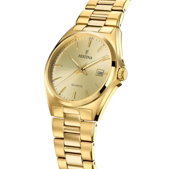 Festina Men's Sophisticated Elegance Stainless Steel Timepiece F20555/3