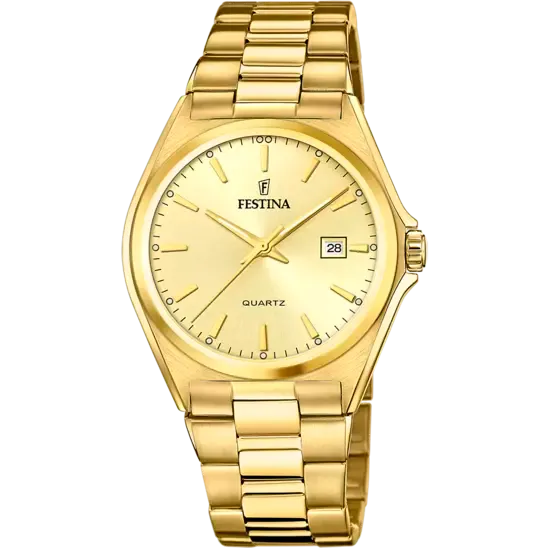 Festina Men's Sophisticated Elegance Stainless Steel Timepiece F20555/3