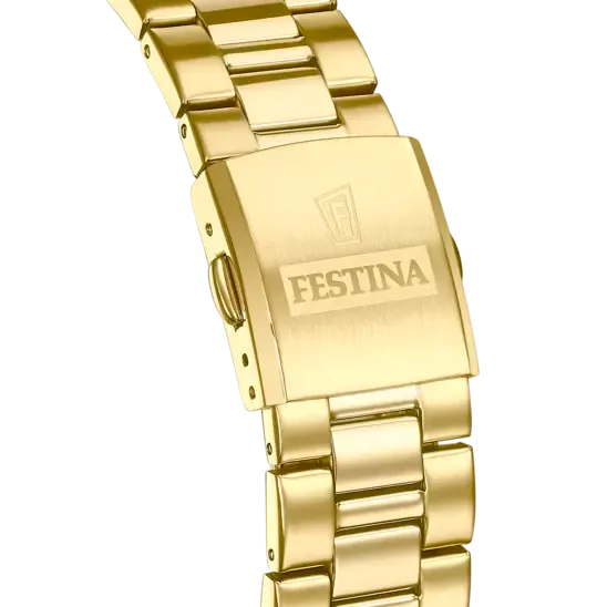 Festina Men's Sophisticated Elegance Stainless Steel Timepiece F20555/3