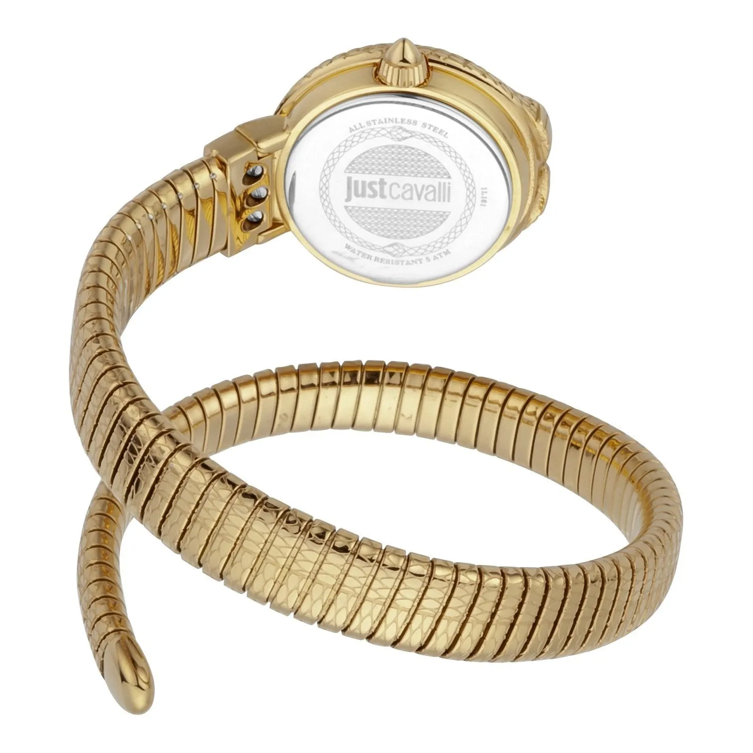 Ladies Dolce Glam Watch (JC1L161M0025)