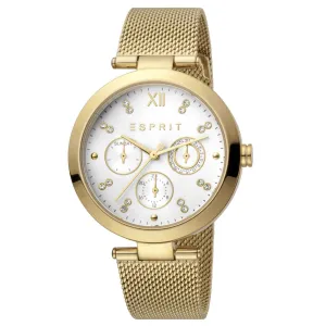 Ladies Florine Watch (ES1L213M0065)