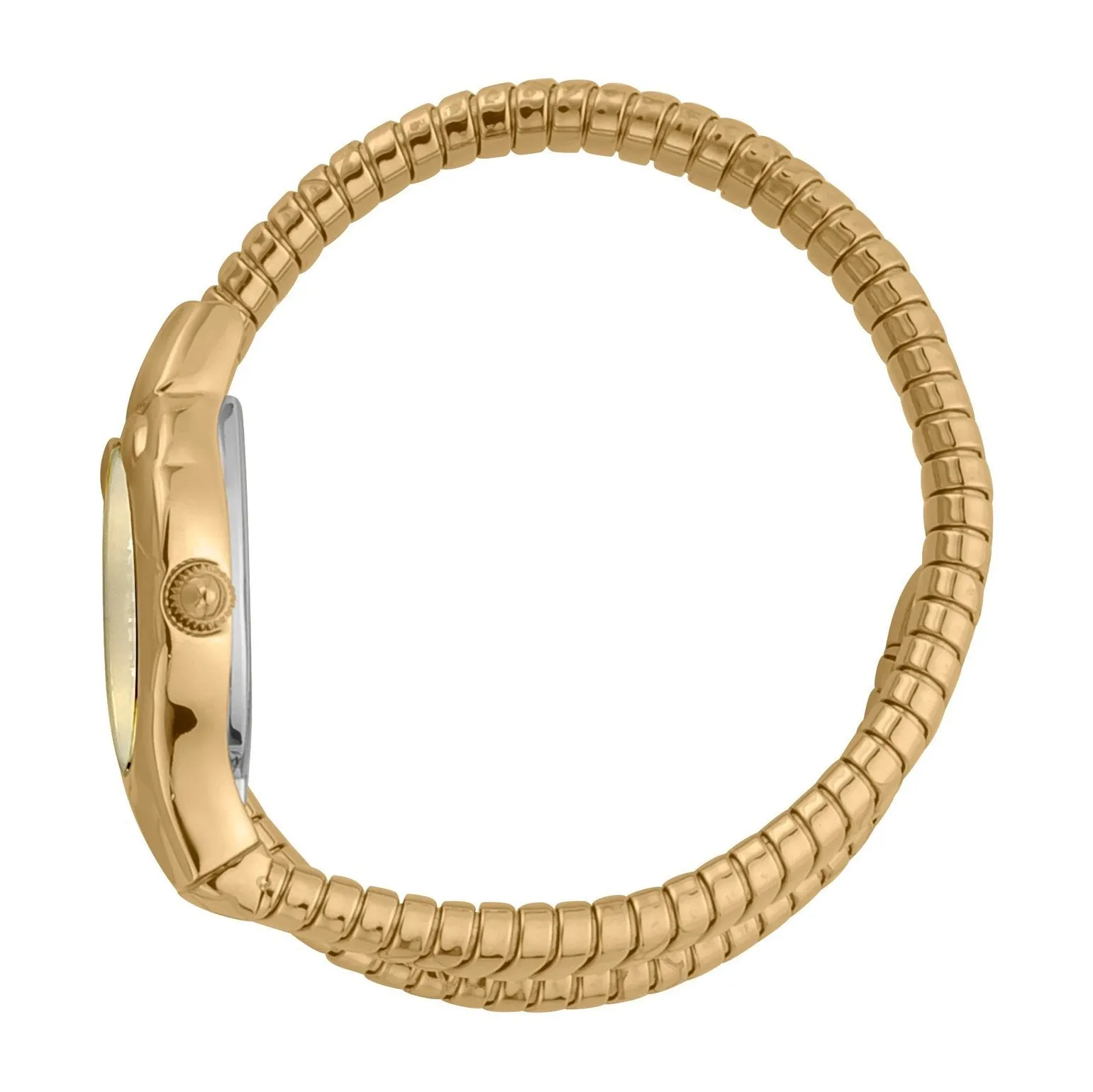 Ladies Serpente Corto Watch (JC1L186M0025)