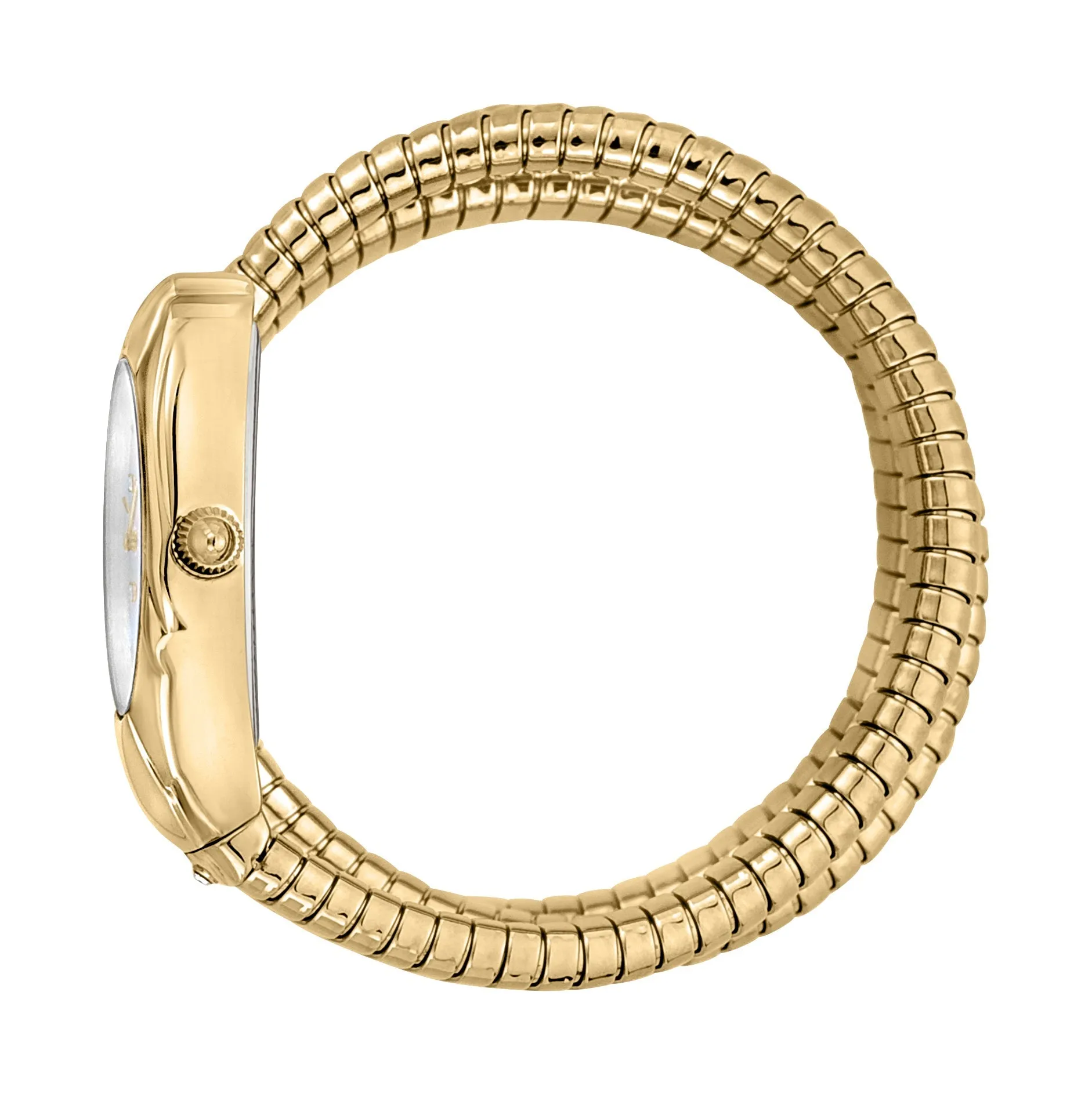 Ladies Serpente nobile Watch (JC1L185M0015)