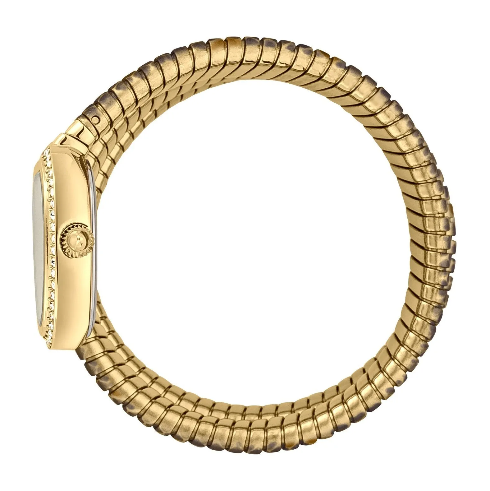 Ladies Serpente reale Watch (JC1L163M0255)