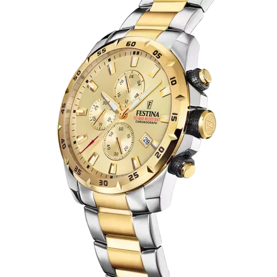 Reloj Festina Gold Dial Stainless Steel Men's Watch F20562/1