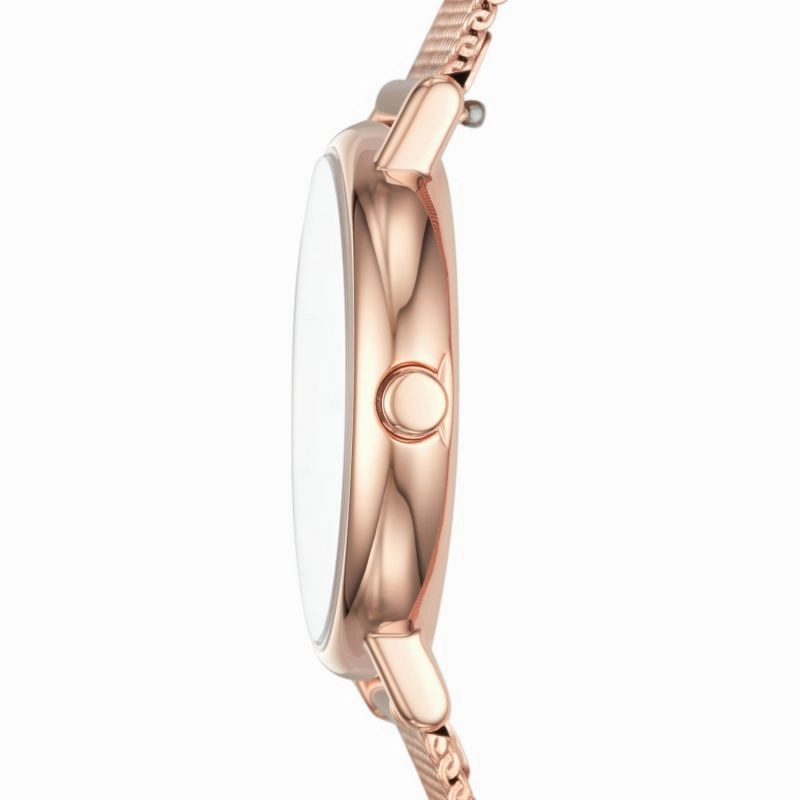 Skagen Signatur Ladies Watch SKW2694
