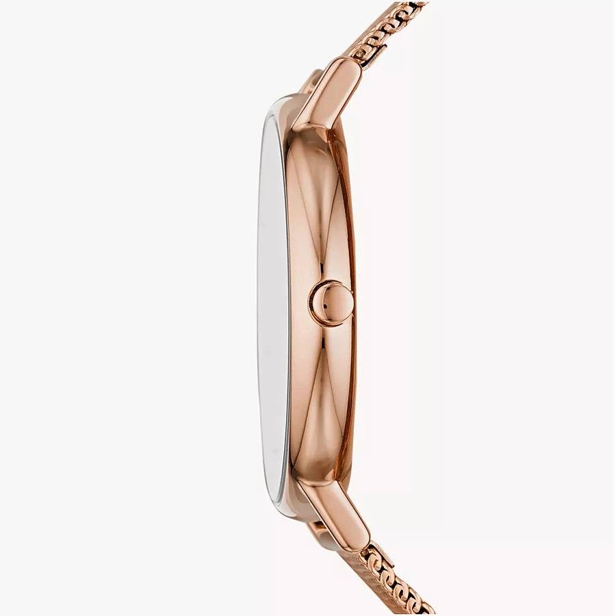 Skagen Signatur Ladies Watch SKW2784