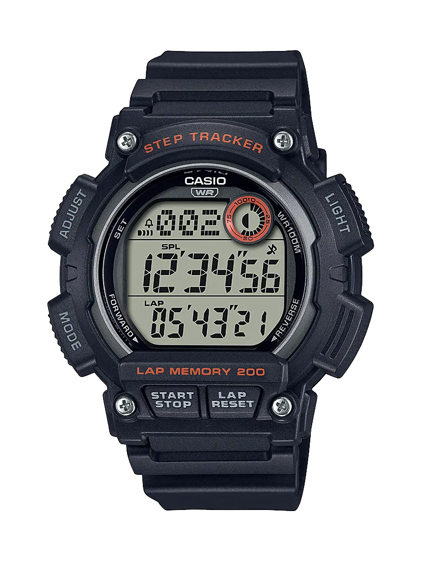 WS2100H-1A