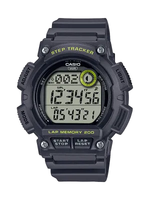 WS2100H-8A