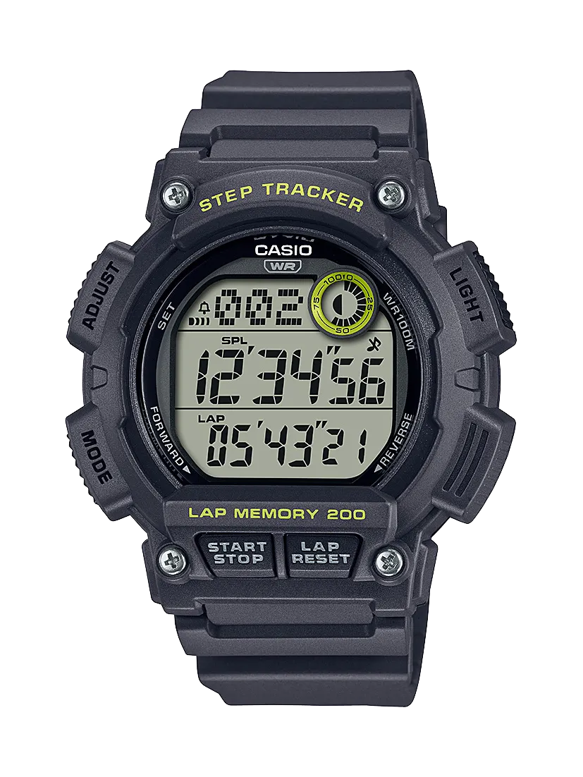 WS2100H-8A